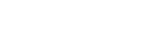 raybotix hr logo white